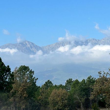 El Capricho Para Todos Arenas de San Pedro Esterno foto